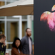 Image: AP